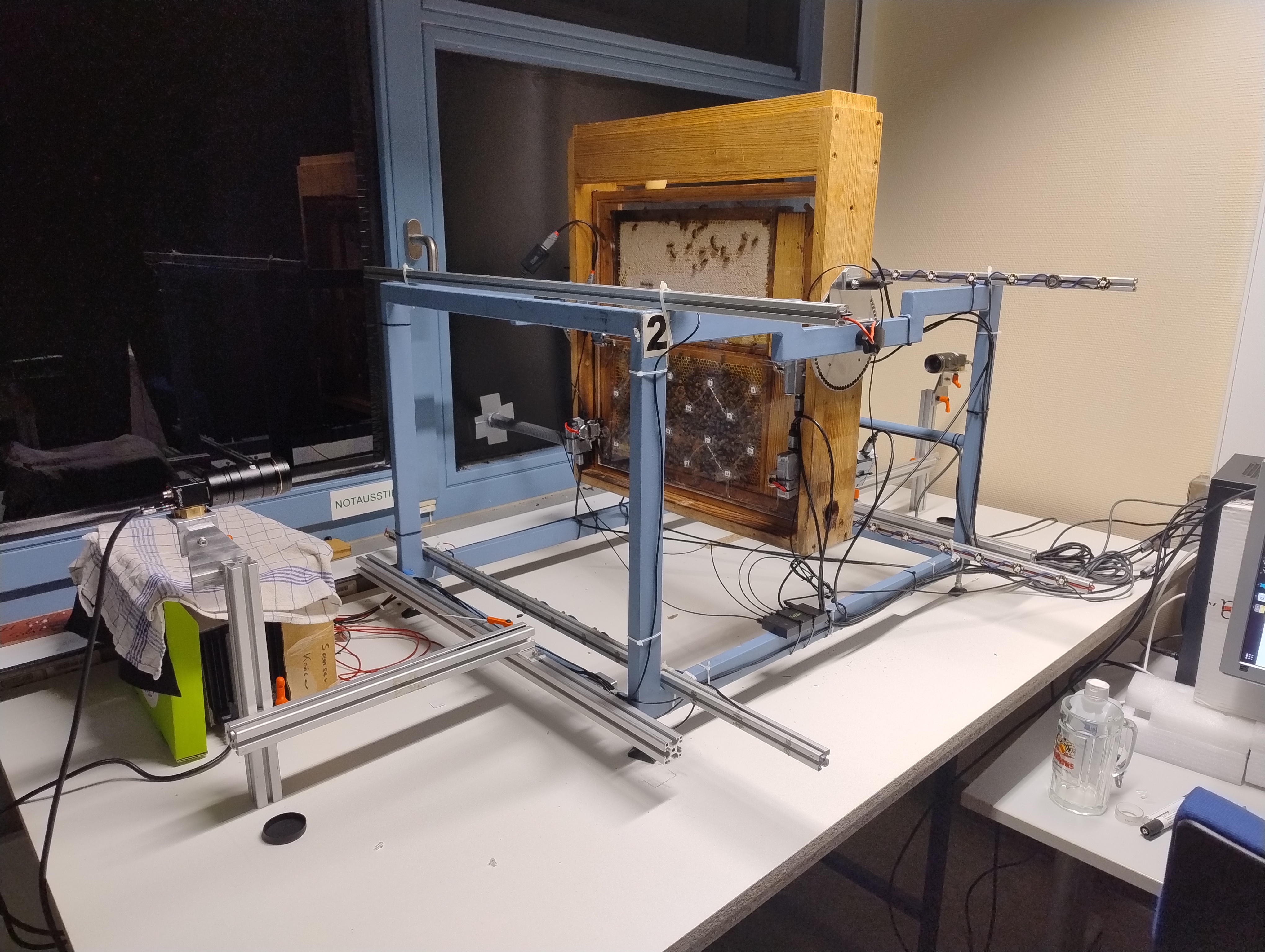 Bee research setup
