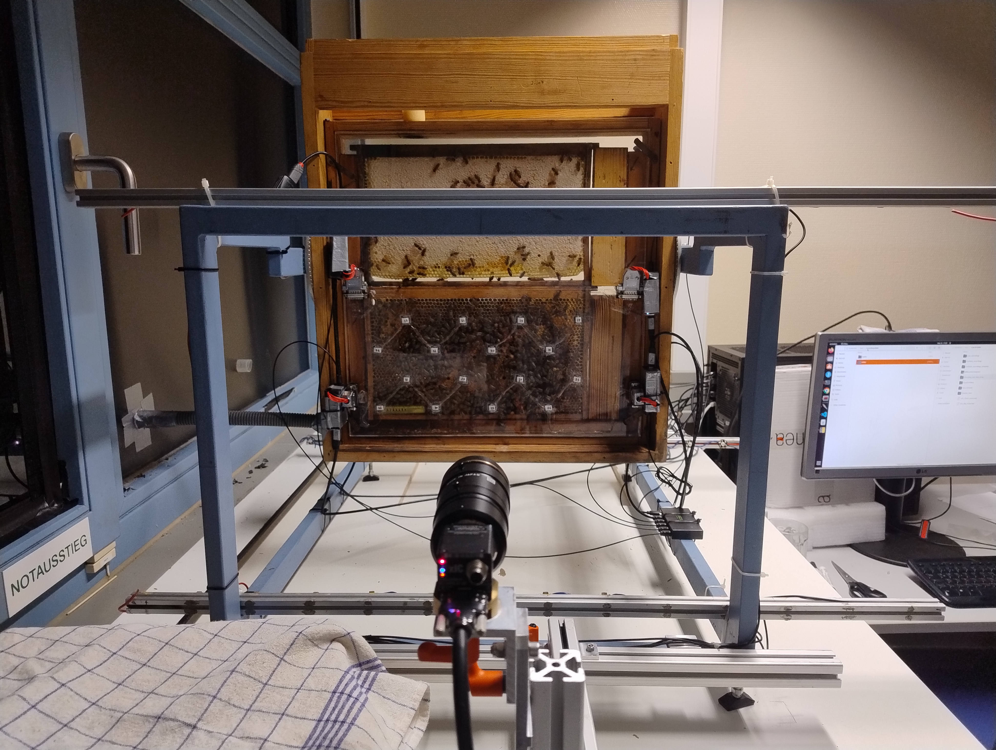Camera view